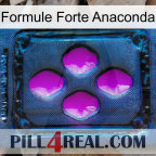 Anaconda Strong Formula 04